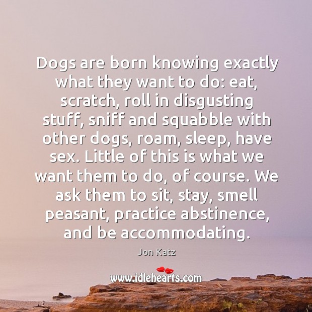 Dogs are born knowing exactly what they want to do: eat, scratch, Jon Katz Picture Quote