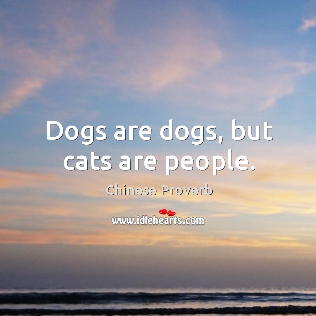 Dogs are dogs, but cats are people. Image