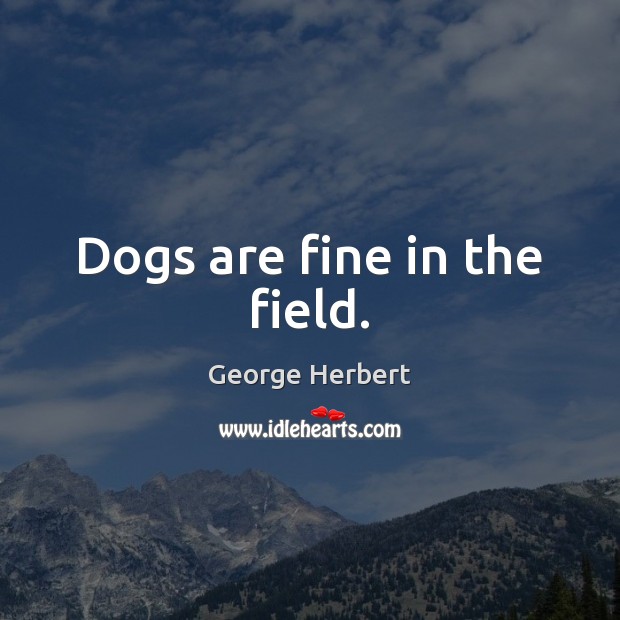 Dogs are fine in the field. Image