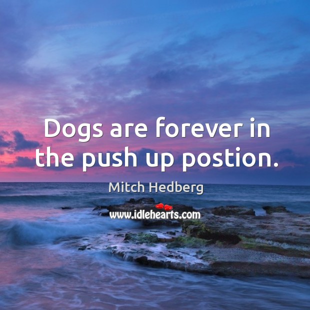 Dogs are forever in the push up postion. Mitch Hedberg Picture Quote