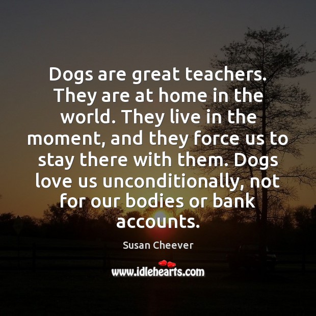 Dogs are great teachers. They are at home in the world. They Image