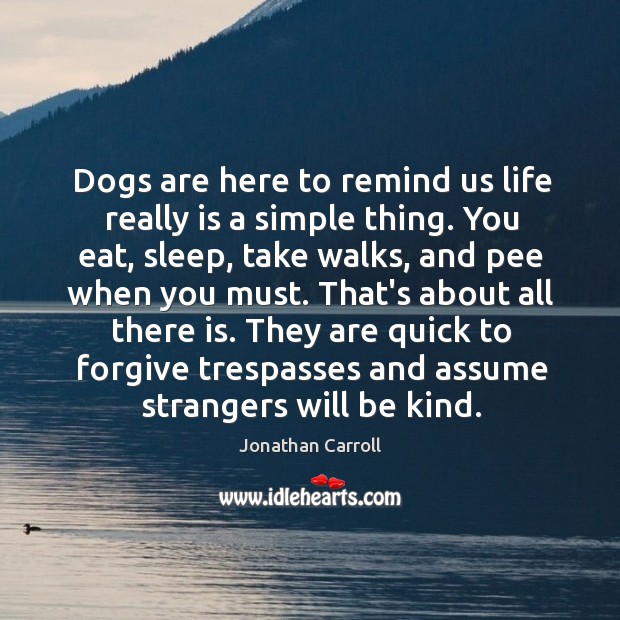 Dogs are here to remind us life really is a simple thing. Jonathan Carroll Picture Quote