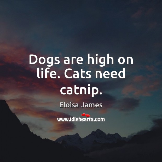 Dogs are high on life. Cats need catnip. Eloisa James Picture Quote