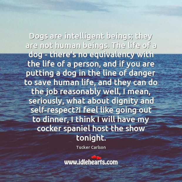 Dogs are intelligent beings; they are not human beings. The life of Tucker Carlson Picture Quote