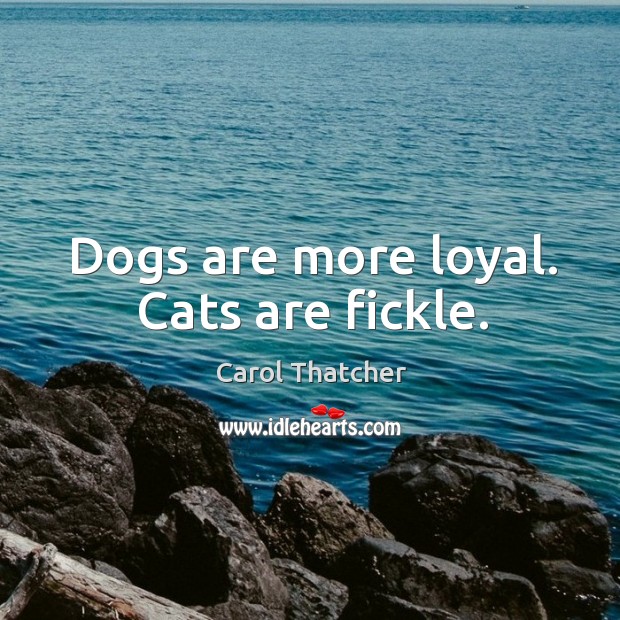 Dogs are more loyal. Cats are fickle. Image