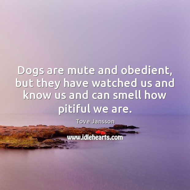 Dogs are mute and obedient, but they have watched us and know Tove Jansson Picture Quote