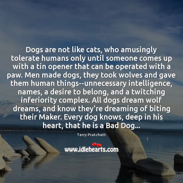 Dogs are not like cats, who amusingly tolerate humans only until someone Dreaming Quotes Image