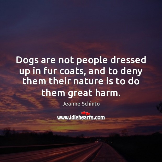 Dogs are not people dressed up in fur coats, and to deny Jeanne Schinto Picture Quote