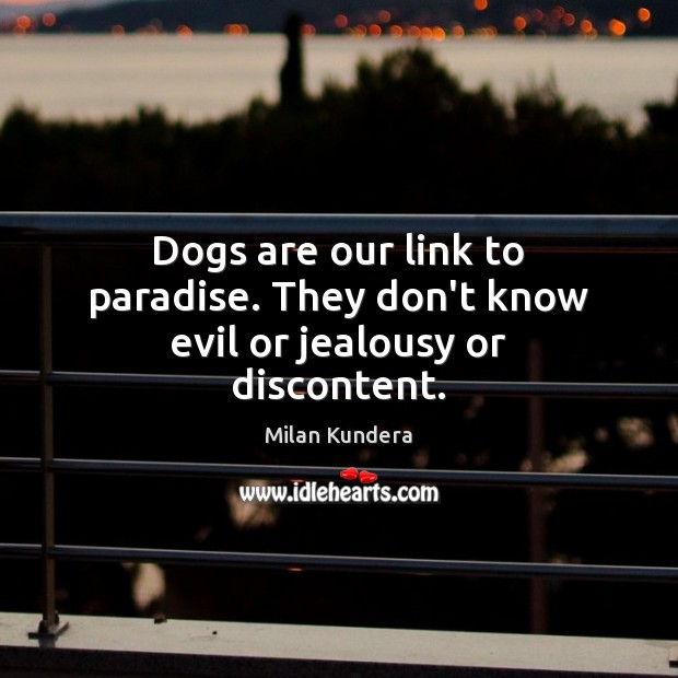 Dogs are our link to paradise. They don’t know evil or jealousy or discontent. Milan Kundera Picture Quote