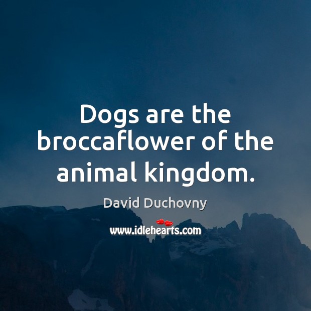 Dogs are the broccaflower of the animal kingdom. David Duchovny Picture Quote