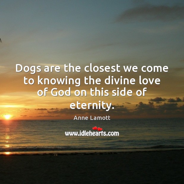 Dogs are the closest we come to knowing the divine love of God on this side of eternity. Anne Lamott Picture Quote