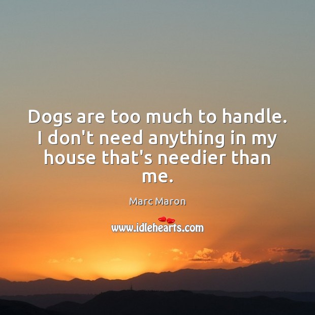 Dogs are too much to handle. I don’t need anything in my house that’s needier than me. Marc Maron Picture Quote
