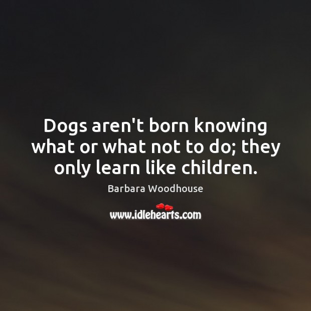Dogs aren’t born knowing what or what not to do; they only learn like children. Barbara Woodhouse Picture Quote
