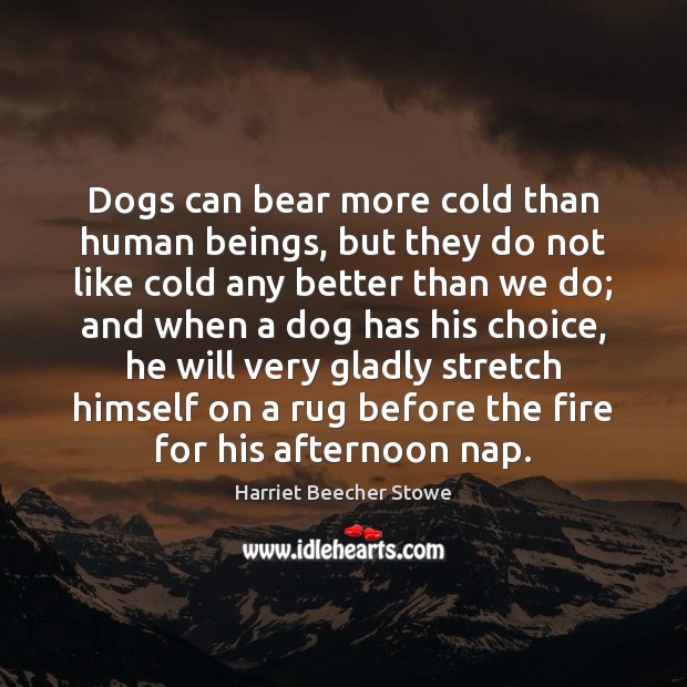 Dogs can bear more cold than human beings, but they do not Harriet Beecher Stowe Picture Quote