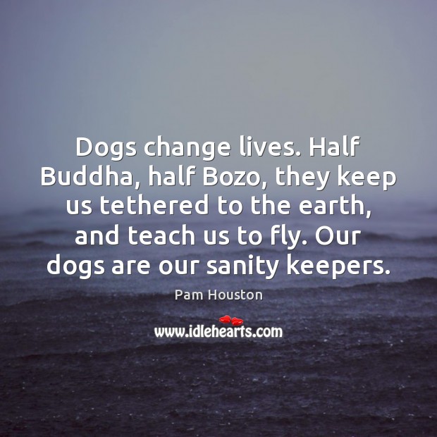Dogs change lives. Half Buddha, half Bozo, they keep us tethered to Pam Houston Picture Quote