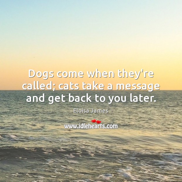 Dogs come when they’re called; cats take a message and get back to you later. Image