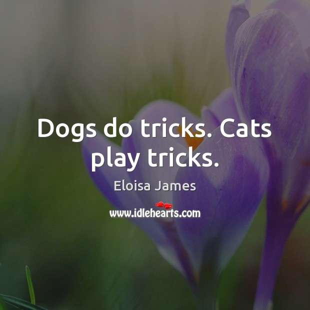 Dogs do tricks. Cats play tricks. Eloisa James Picture Quote
