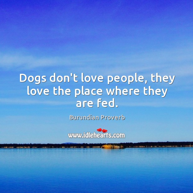 Dogs don’t love people, they love the place where they are fed. Burundian Proverbs Image