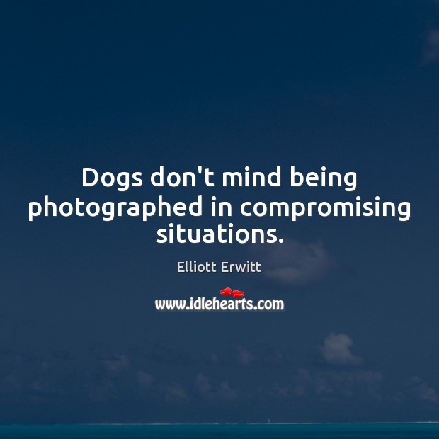 Dogs don’t mind being photographed in compromising situations. Elliott Erwitt Picture Quote