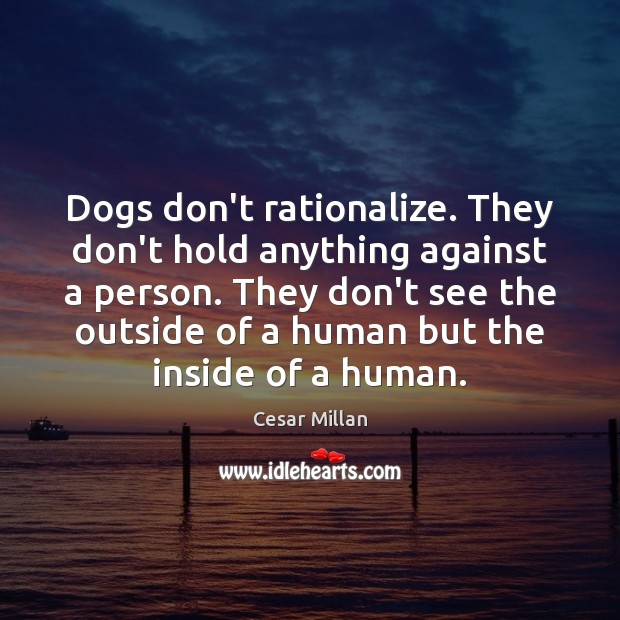Dogs don’t rationalize. They don’t hold anything against a person. They don’t 