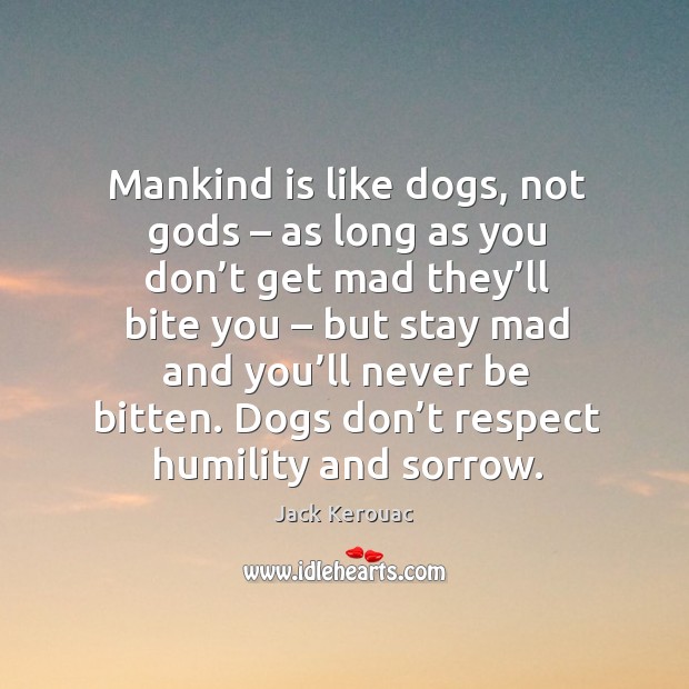 Dogs don’t respect humility and sorrow. Jack Kerouac Picture Quote