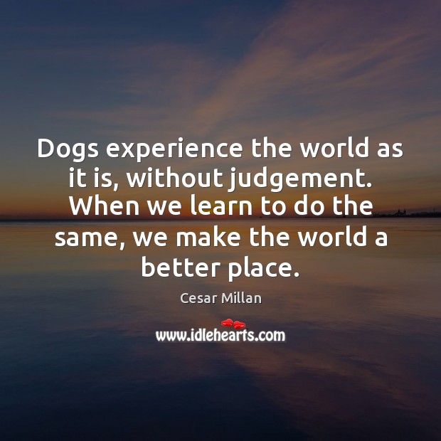 Dogs experience the world as it is, without judgement. When we learn Image