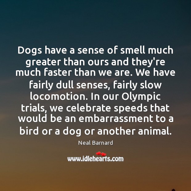 Dogs have a sense of smell much greater than ours and they’re Neal Barnard Picture Quote