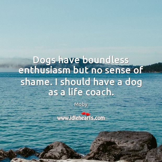 Dogs have boundless enthusiasm but no sense of shame. I should have a dog as a life coach. Moby Picture Quote