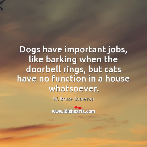 Dogs have important jobs, like barking when the doorbell rings, but cats 