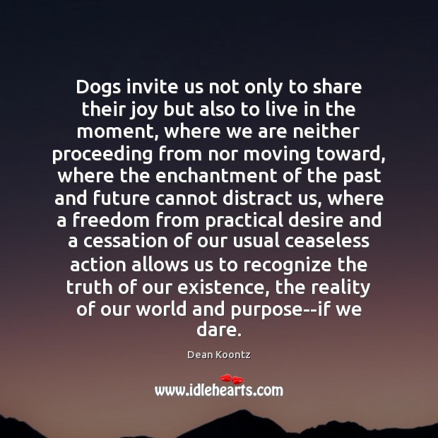 Dogs invite us not only to share their joy but also to Dean Koontz Picture Quote
