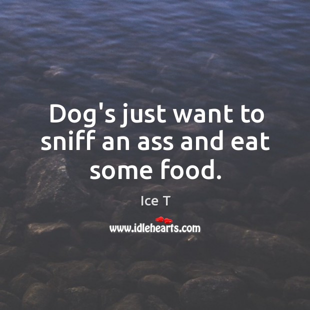 Dog’s just want to sniff an ass and eat some food. Ice T Picture Quote