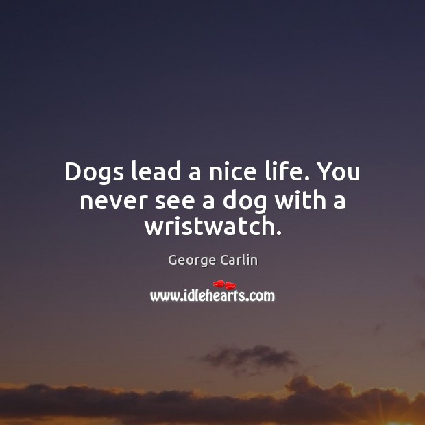 Dogs lead a nice life. You never see a dog with a wristwatch. George Carlin Picture Quote