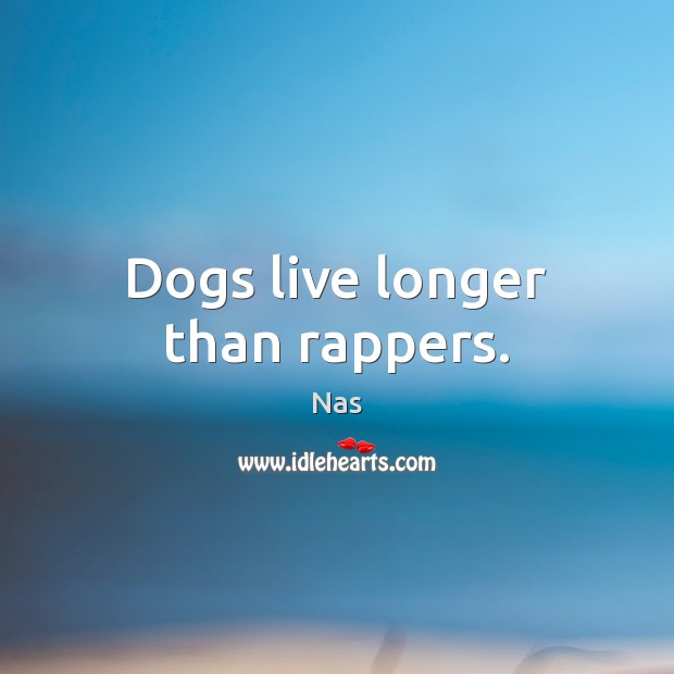 Dogs live longer than rappers. Image