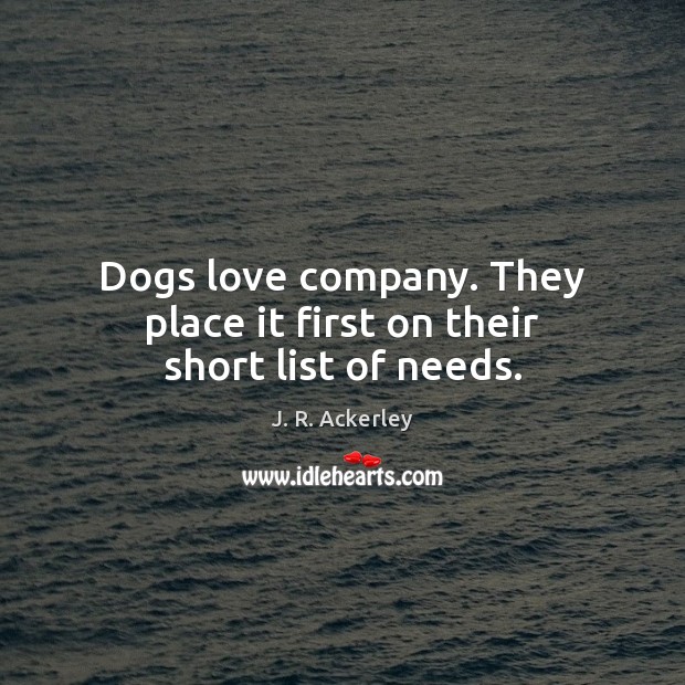 Dogs love company. They place it first on their short list of needs. Image