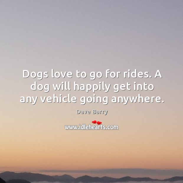Dogs love to go for rides. A dog will happily get into any vehicle going anywhere. Image