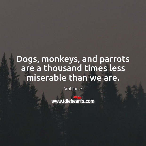 Dogs, monkeys, and parrots are a thousand times less miserable than we are. Image