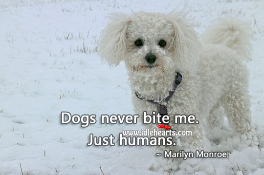 Dogs never bite me. Just humans. Marilyn Monroe Picture Quote