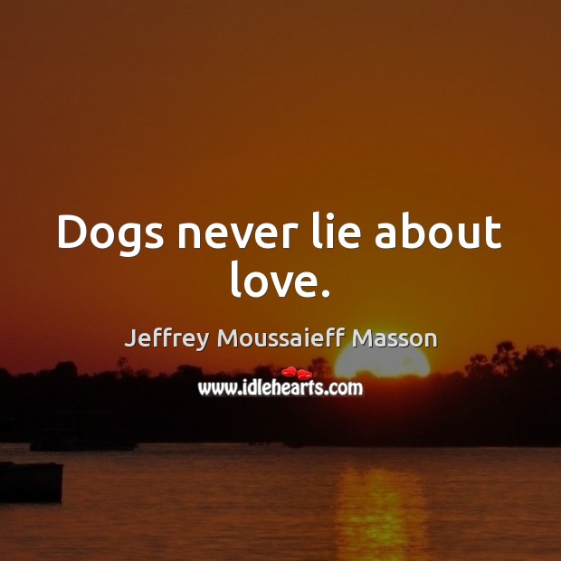 Dogs never lie about love. Jeffrey Moussaieff Masson Picture Quote