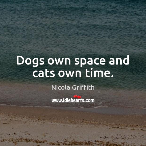 Dogs own space and cats own time. Image