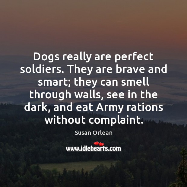 Dogs really are perfect soldiers. They are brave and smart; they can Susan Orlean Picture Quote