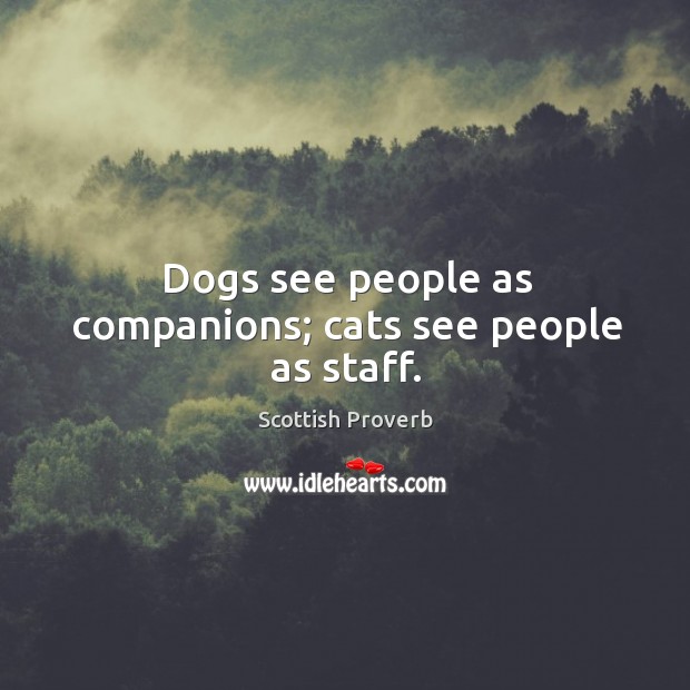 Dogs see people as companions; cats see people as staff. Scottish Proverbs Image