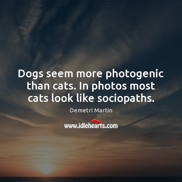 Dogs seem more photogenic than cats. In photos most cats look like sociopaths. Demetri Martin Picture Quote