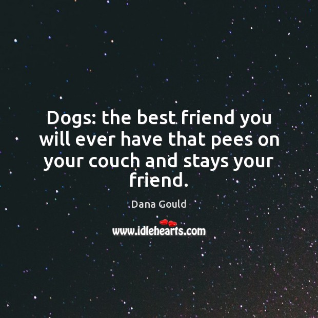 Dogs: the best friend you will ever have that pees on your couch and stays your friend. Dana Gould Picture Quote