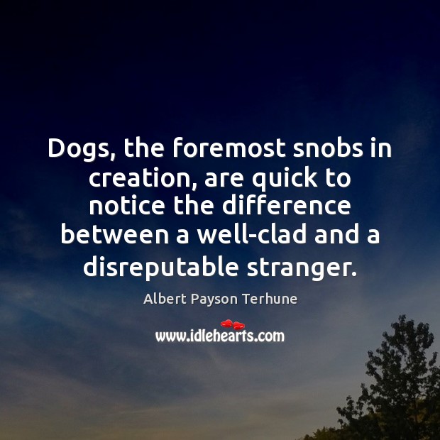Dogs, the foremost snobs in creation, are quick to notice the difference Albert Payson Terhune Picture Quote