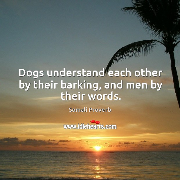 Dogs understand each other by their barking, and men by their words. Somali Proverbs Image