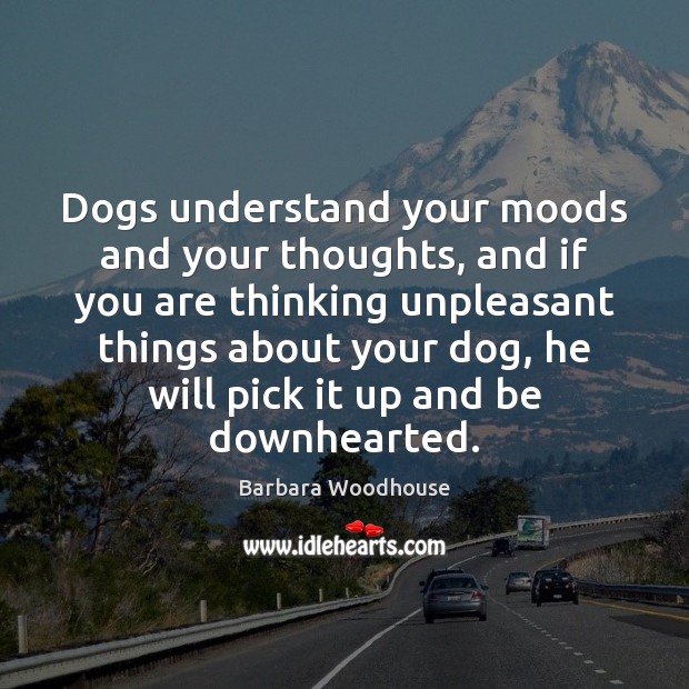 Dogs understand your moods and your thoughts, and if you are thinking Barbara Woodhouse Picture Quote