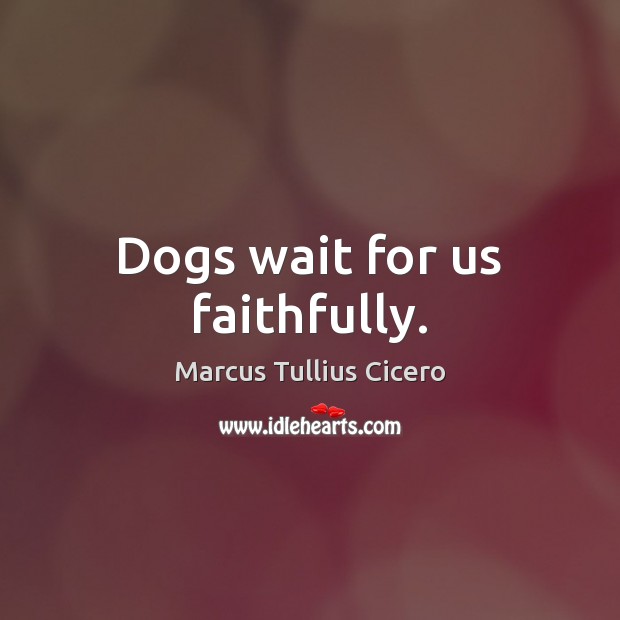 Dogs wait for us faithfully. Marcus Tullius Cicero Picture Quote