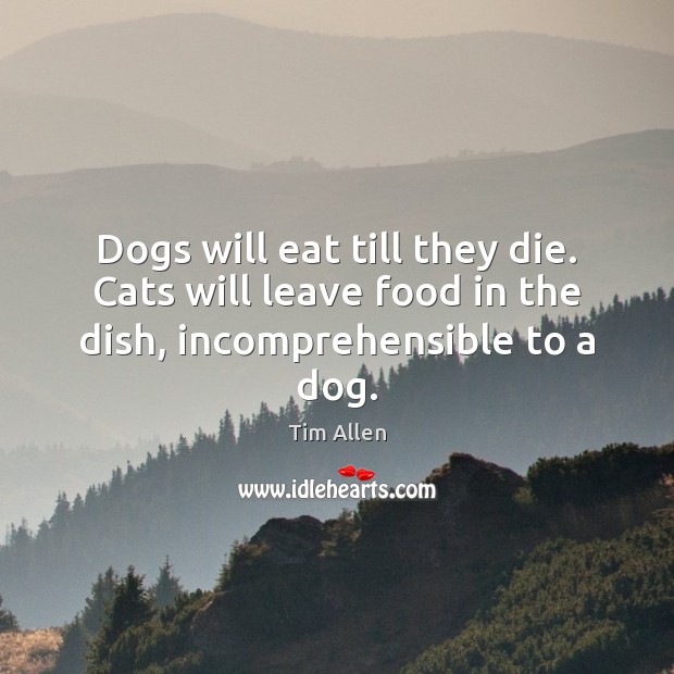 Dogs will eat till they die. Cats will leave food in the dish, incomprehensible to a dog. 