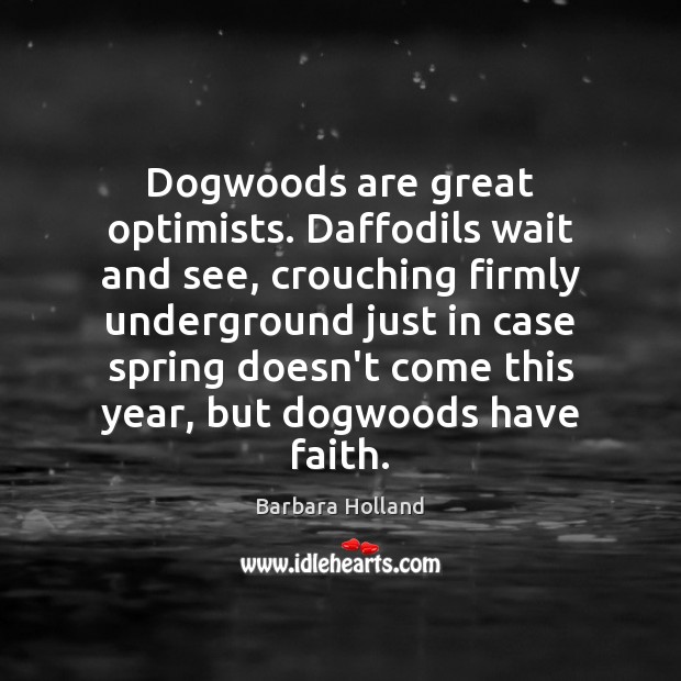 Dogwoods are great optimists. Daffodils wait and see, crouching firmly underground just 