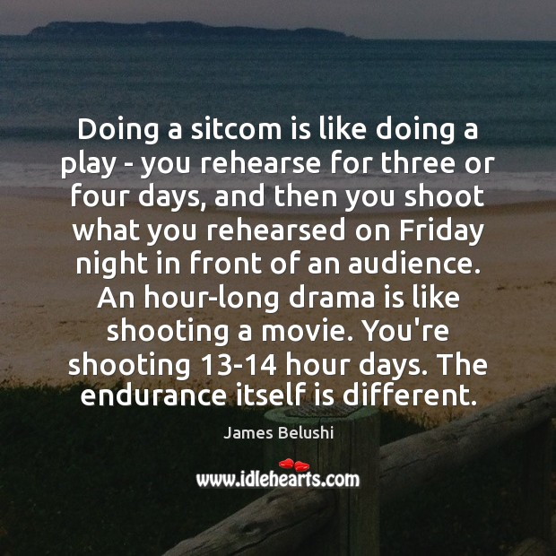 Doing a sitcom is like doing a play – you rehearse for Image